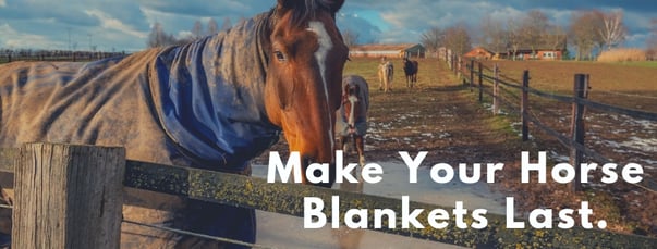 Get The Most Out Of Your Horse Blankets