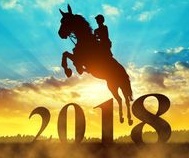 2018-jumping-horse-new-year.jpg
