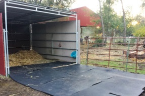 a horse for elinor run in shed.jpg