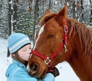 Christma horse WIDE OPEN PETS