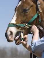 deworming horse 2