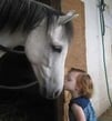 girl-kissing-race-horse