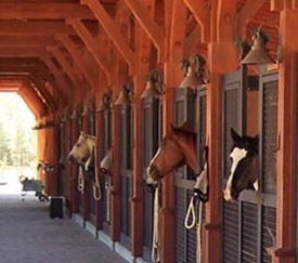 horse-and-stalls-1-e1519363273166