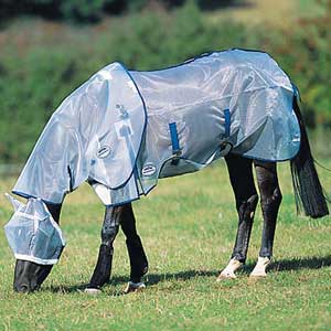 horse in fly sheet and mask