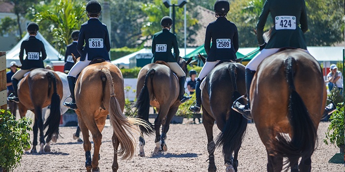 horse show hunter class EquestrianSportProductions