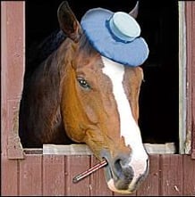 horse-with-headache