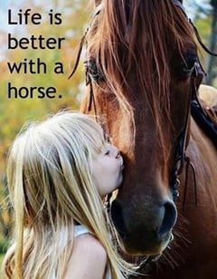 life better with a horse
