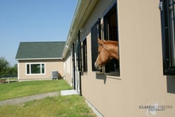 Classic Equine Windows