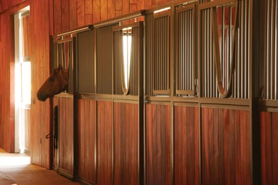 Classic Equine Equipment Blog