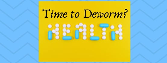 Time to Deworm_