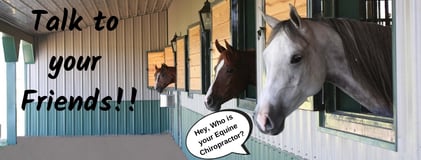 Who is your Equine Chiropractor_