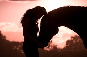horse love-1