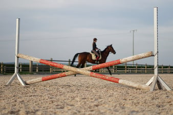 horse jumps