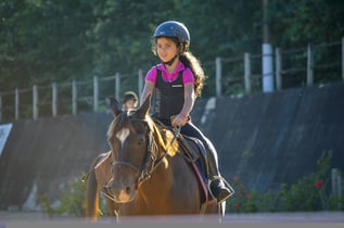 Therapeutic riding CEE blog