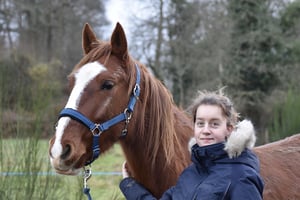 horse-and-rider-Classic equine blog