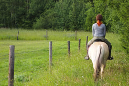 horseback-riding-3855677_1280