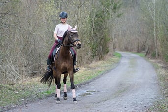 Classic Equine Equipment Blog