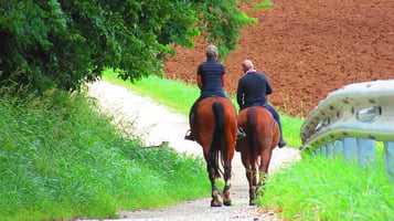 horses-trail ride- CEE blog