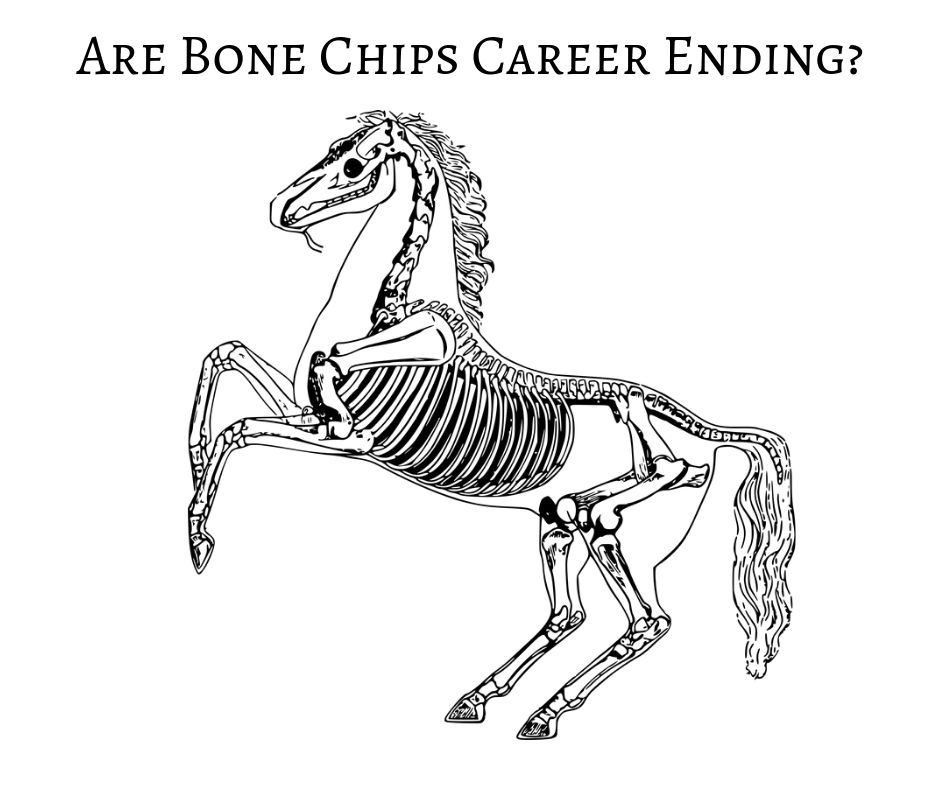 Are Bone Chips Career Ending_