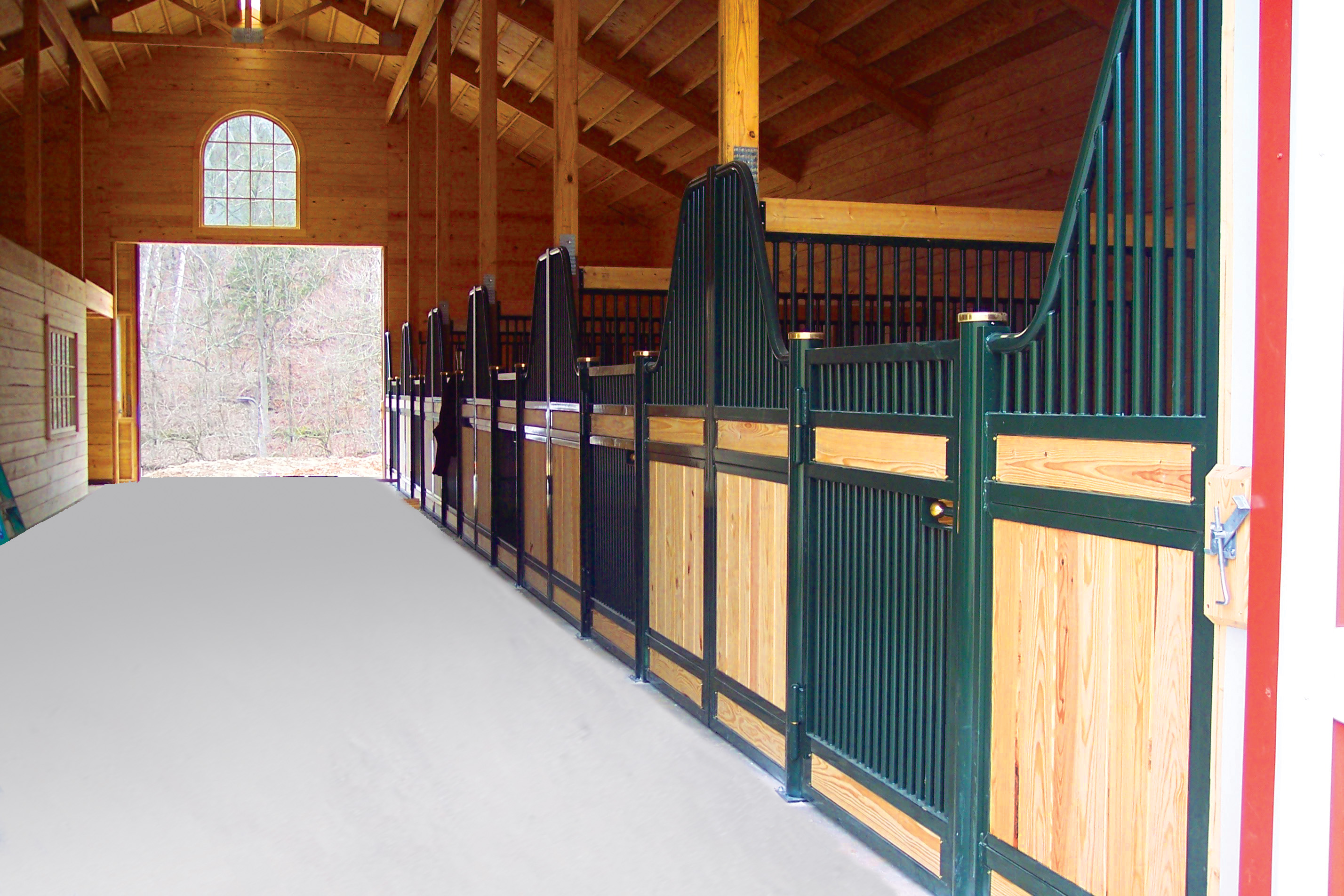 Evaluate for winter damage - Classic equine Blog