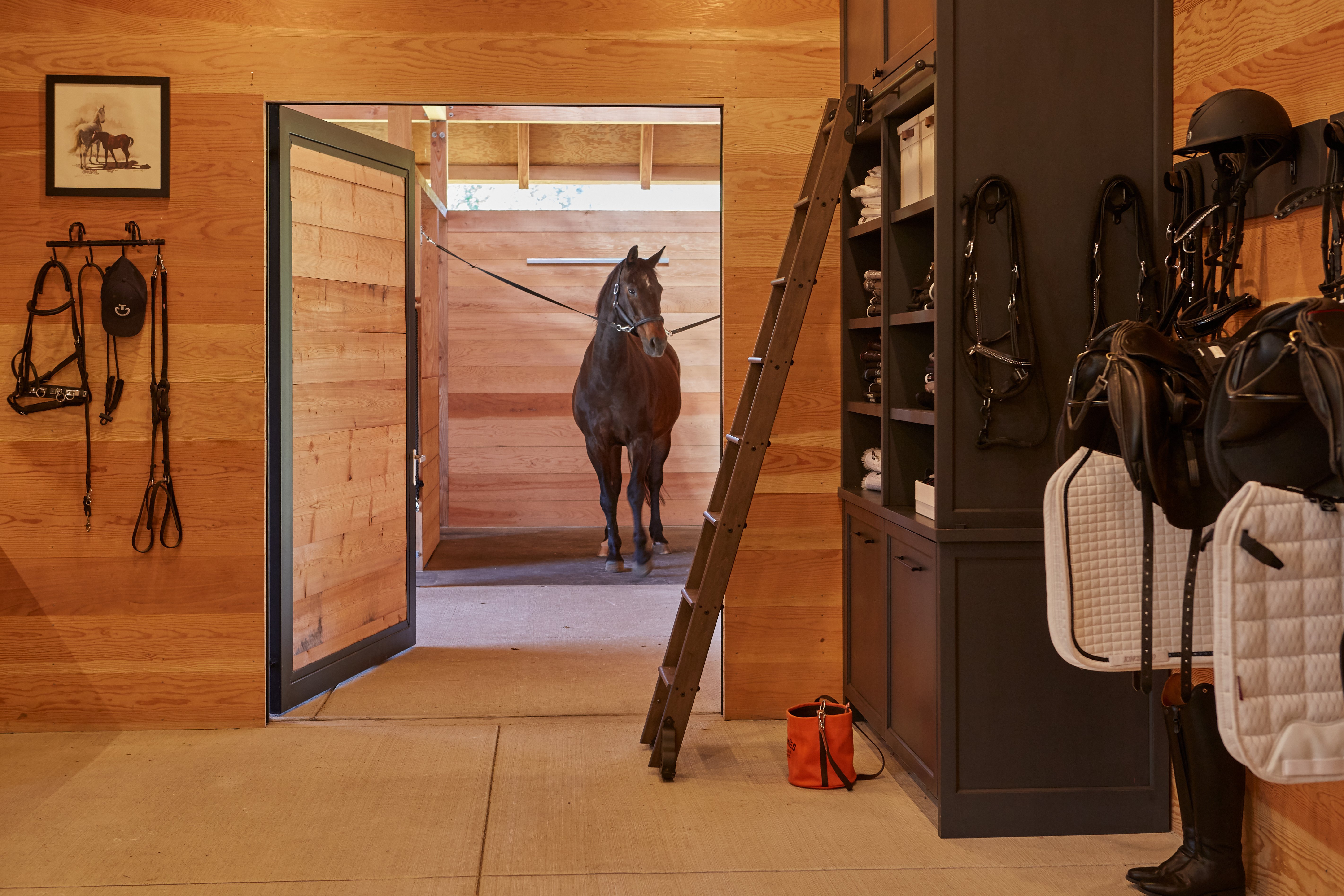 Classic Equine Stalls 