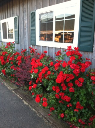 barn decorated 1-15