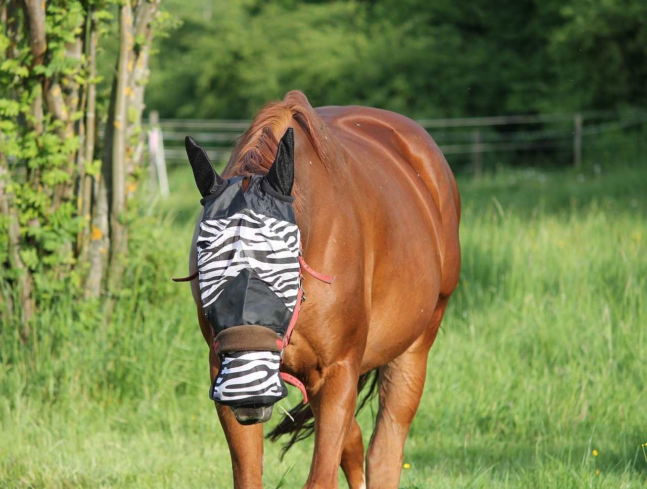 full fly mask