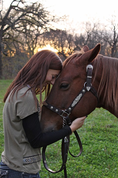 Classic Equine Equipment Blog