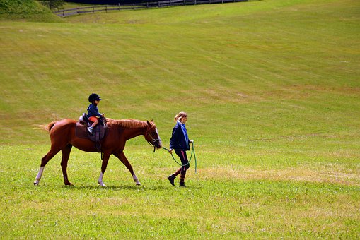 Classic Equine Equipment Blog