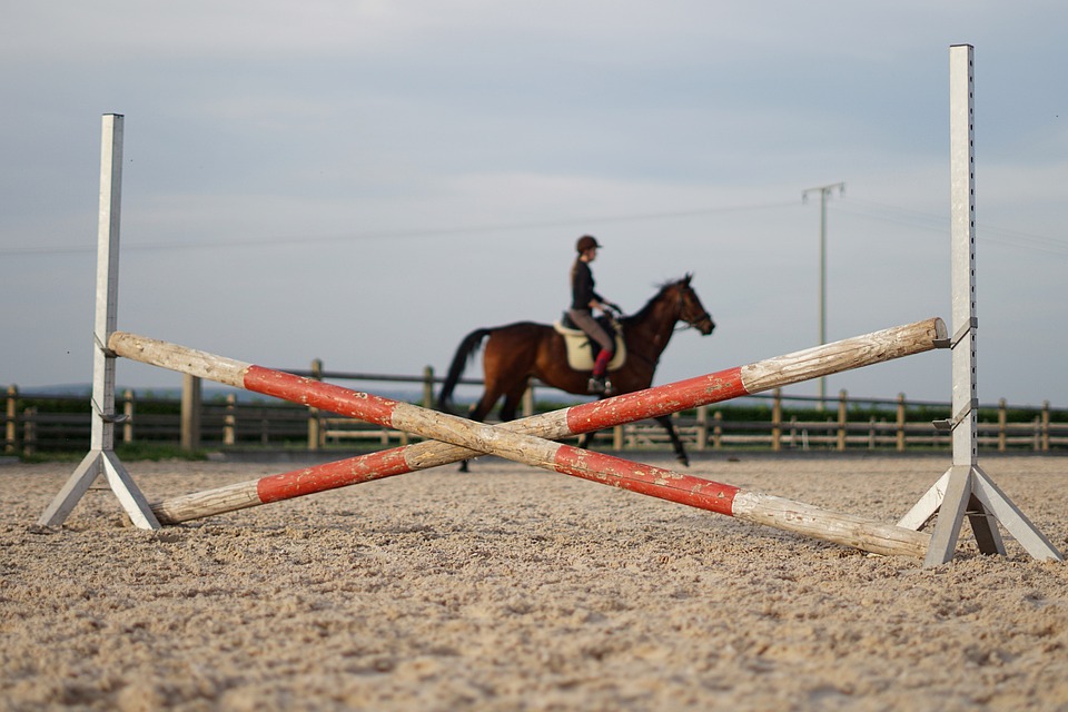 Horse Jumps