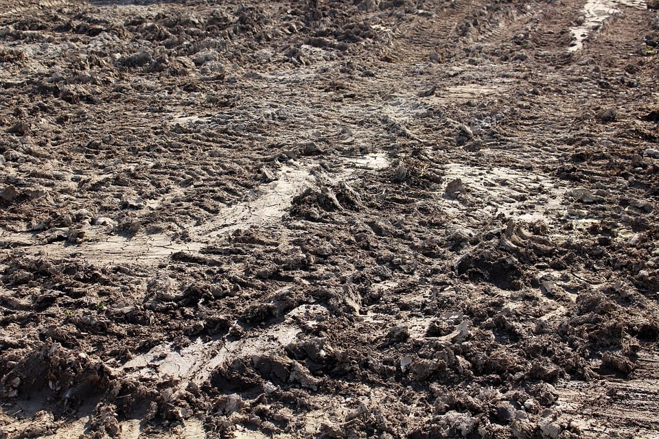 Mud and Manure Management